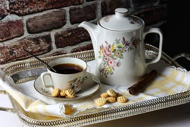 Cuáles son las definiciones, usos y propiedades de las infusiones