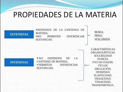 Cuáles son las diferencias entre propiedades intensivas y extensivas