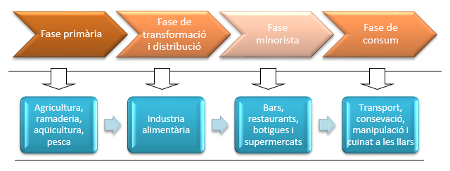 Cuáles son las etapas clave de la cadena alimenticia animal