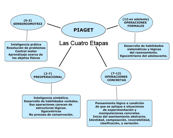 Cuáles son las Etapas de la Teoría Cognitiva de Piaget y su Impacto
