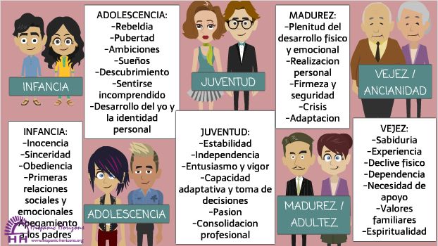 Cuáles son las etapas del desarrollo humano y sus curiosidades