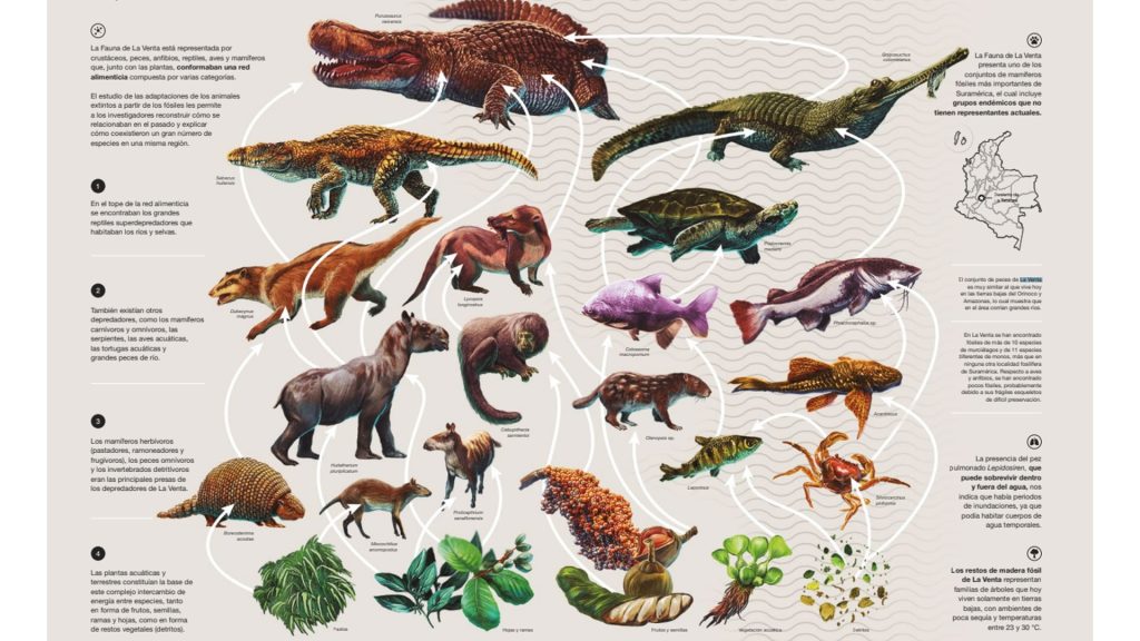Cuáles son las etapas y curiosidades de los animales prehistóricos