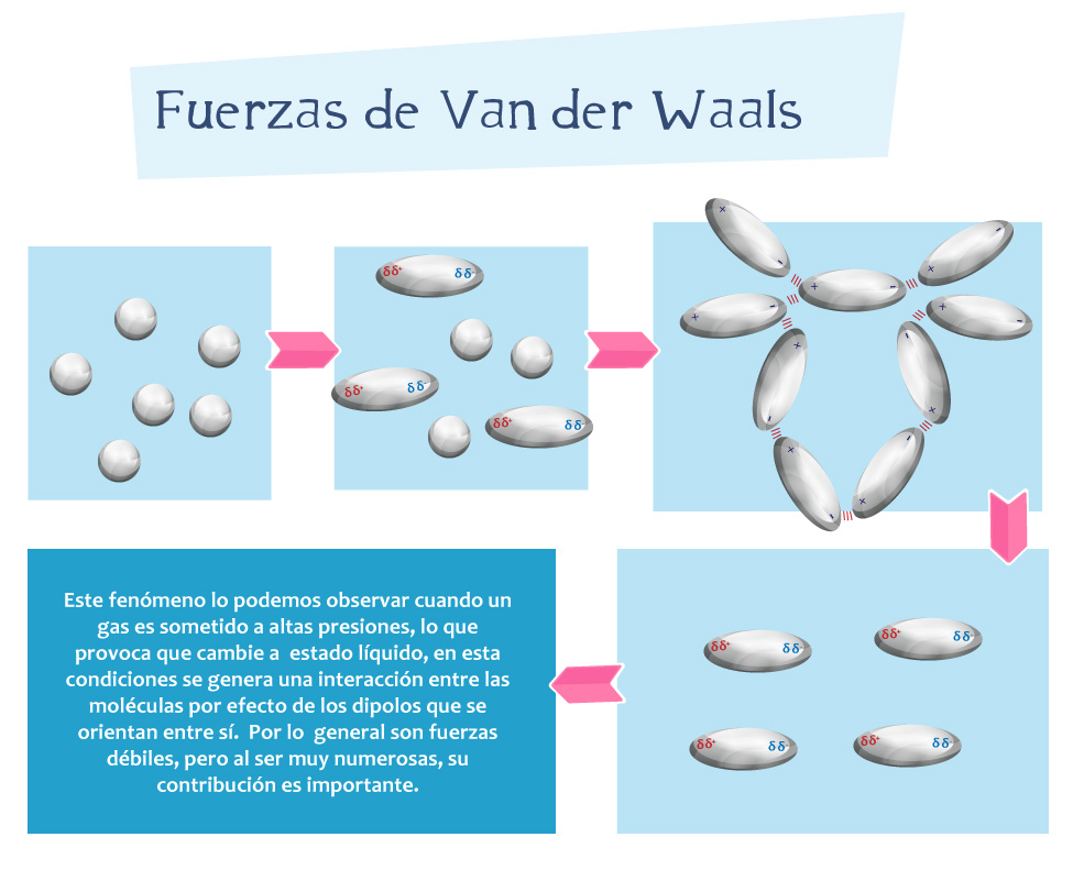 Cuáles son las fuerzas de Van der Waals y cuál es su impacto