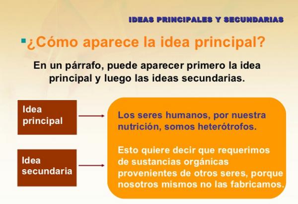 Cuáles son las ideas principales y secundarias que debes descubrir