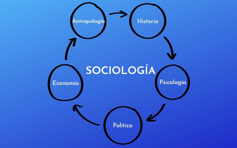 Cuáles son las principales ciencias auxiliares en las ciencias sociales