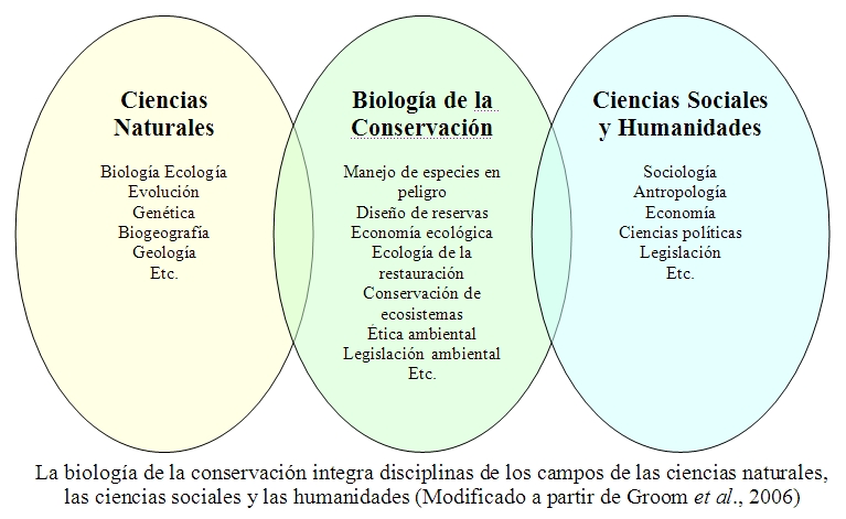 Cuáles son las ramas de la biología y cuál es su verdadero valor