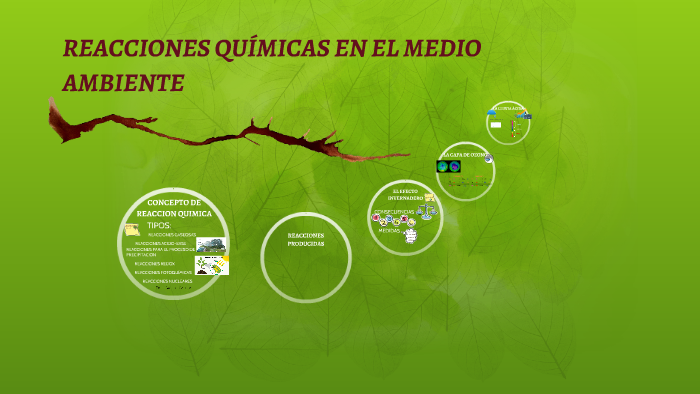Cuáles son las reacciones químicas en el ambiente y su Importancia