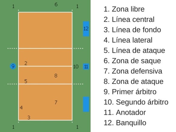 Cuáles son las REGLAS BÁSICAS del VOLEIBOL que debes conocer