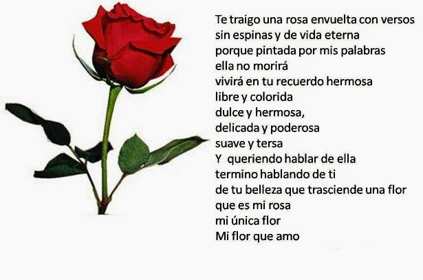 Cuáles son las rimas y poemas más creativos sobre la rosa
