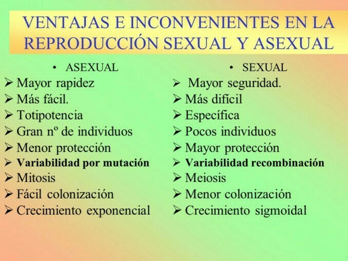 Cuáles son las ventajas y desventajas de la reproducción sexual