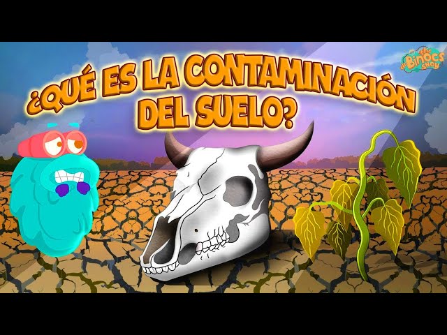 Cuáles son los 10 ejemplos más asombrosos de contaminación del suelo