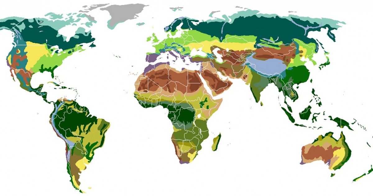 Cuáles son los 15 biomas y sus clasificaciones en el mundo