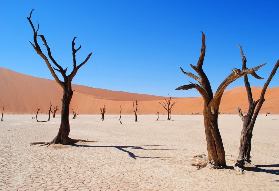 Cuáles son los 20 desiertos más impresionantes del mundo