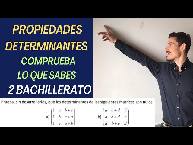 Cuáles son los 50 ejemplos clave de artículos determinantes para ti