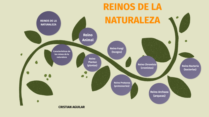 Cuáles son los 7 reinos de la naturaleza y qué los define