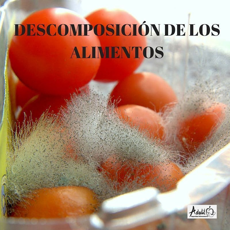 Cuáles son los alimentos en descomposición que debes conocer