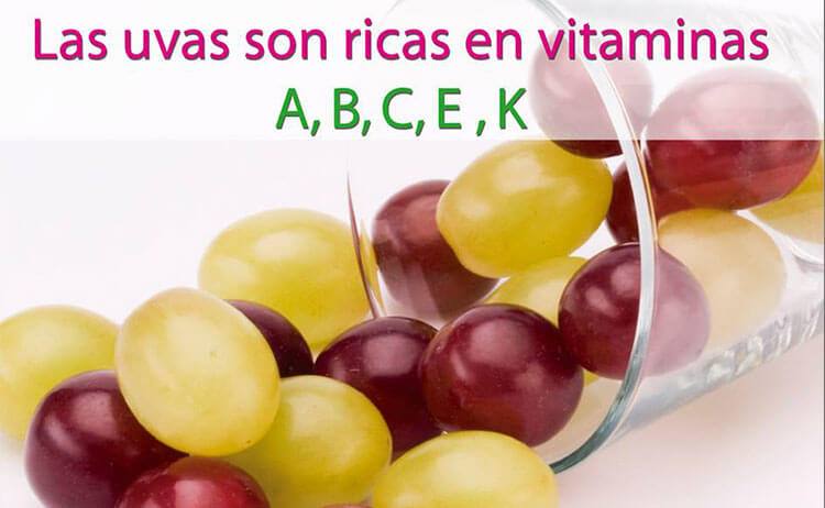 Cuáles son los beneficios y conceptos clave sobre la UVA