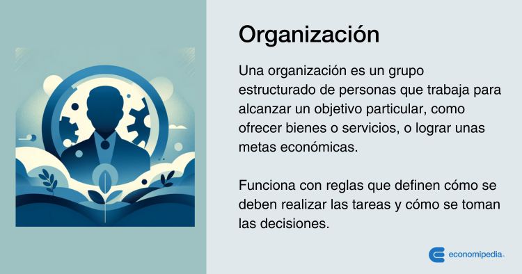 Cuáles son los conceptos clave de organización y su Importancia
