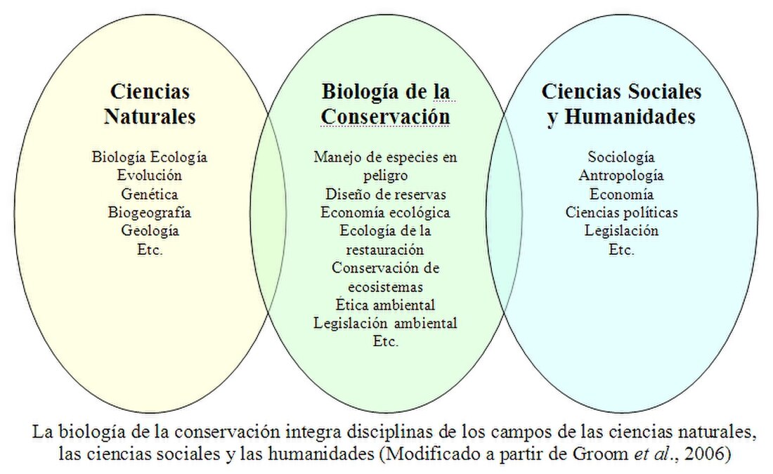 Cuáles son los conceptos clave que destacan Importancia de la biología