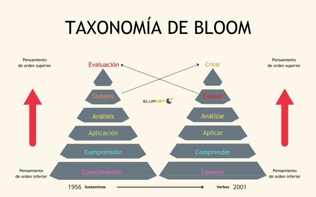 Cuáles son los conceptos, niveles y objetivos de la taxonomía