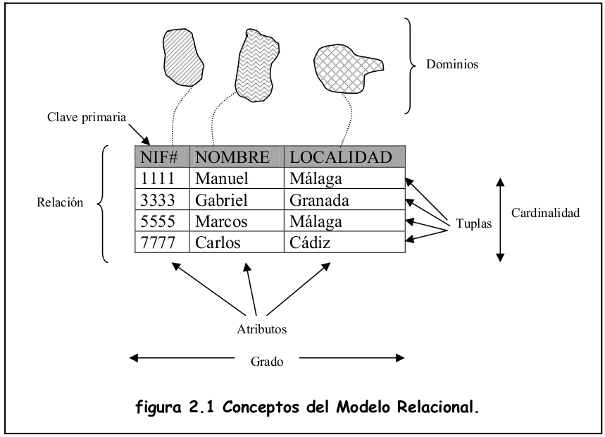 Cuáles son los conceptos, tipos y ejemplos clave de datos