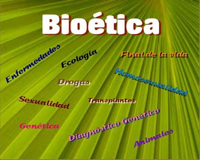 Cuáles son los conceptos y ejemplos clave de bioética que conocer