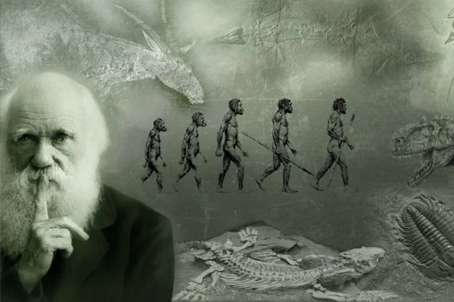 Cuáles son los conceptos y teorías de evolución más sorprendentes