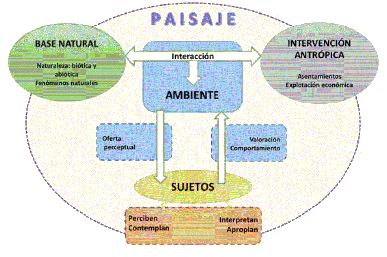 Cuáles son los conceptos y tipos clave del paisaje geográfico