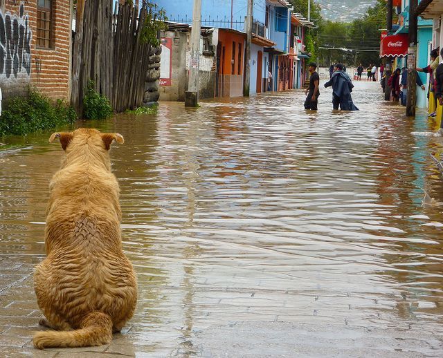 Cuáles son los desastres y fenómenos del riesgo geológico