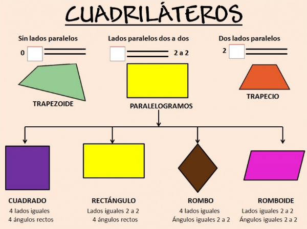 Cuáles son los diferentes tipos de paralelogramos y sus usos