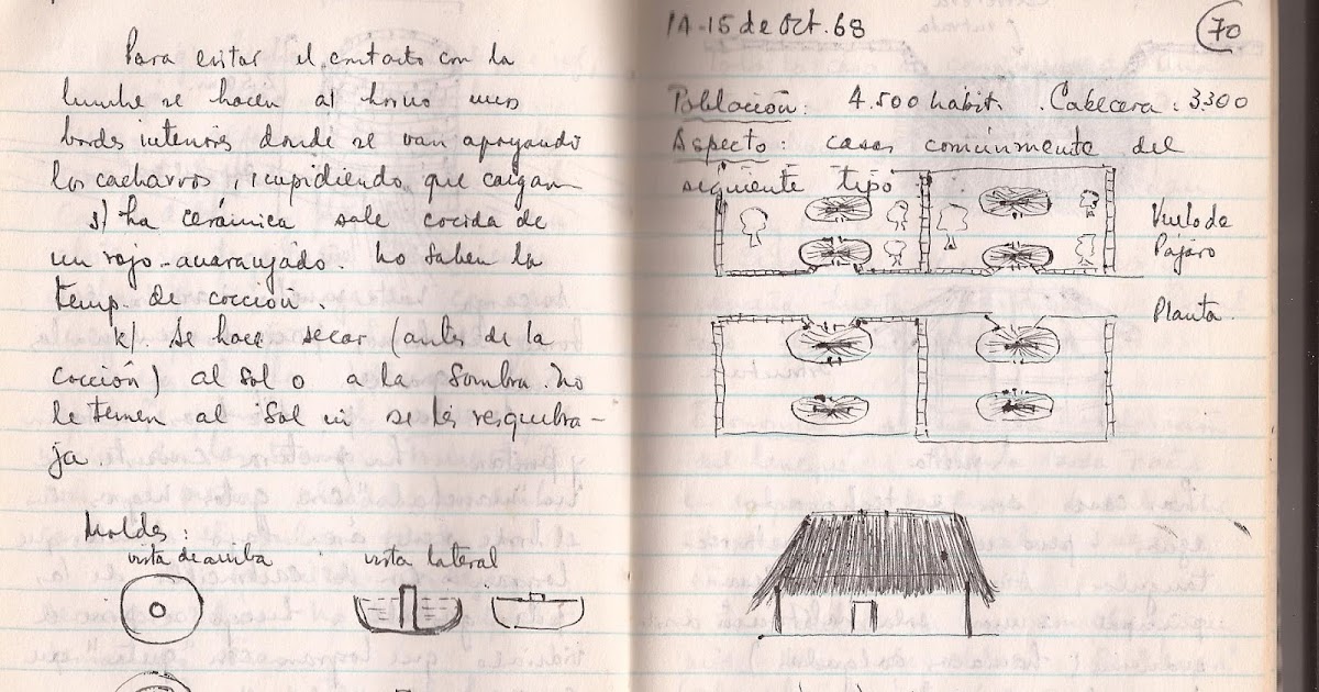 Cuáles son los ejemplos imprescindibles para tu diario de campo