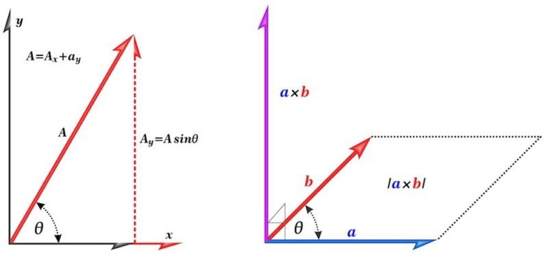 Cuáles son los elementos clave y ejemplos de un vector