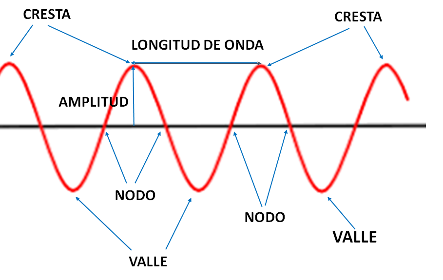 Cuáles son los elementos, tipos y partes esenciales de las ondas