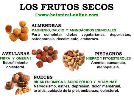 Cuáles son los nombres y beneficios de los frutos secos
