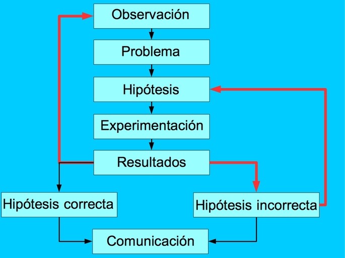 Cuáles son los pasos del método científico que debo conocer hoy