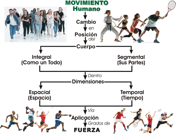Cuáles son los patrones básicos del movimiento y cómo descubrirlos
