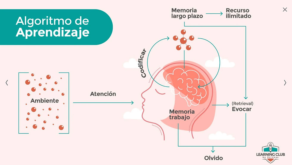 Cuáles son los procesos de aprendizaje y cuán efectivos son