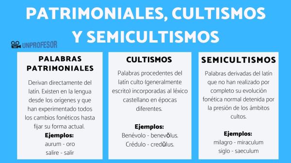 Cuáles son los significados claros y útiles de CULTOS y CULTA