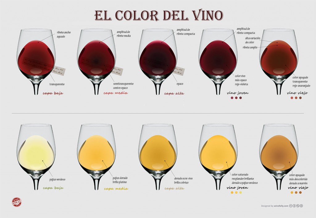 Cuáles son los significados, clasificación y definición del vino