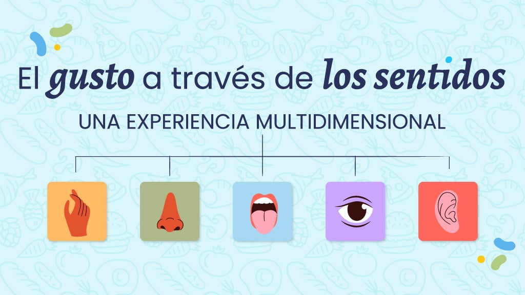 CUÁLES SON LOS SONIDOS que me rodean DESCÚBRELOS Aquí