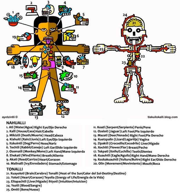 Cuáles son los sorprendentes significados de las palabras aztecas