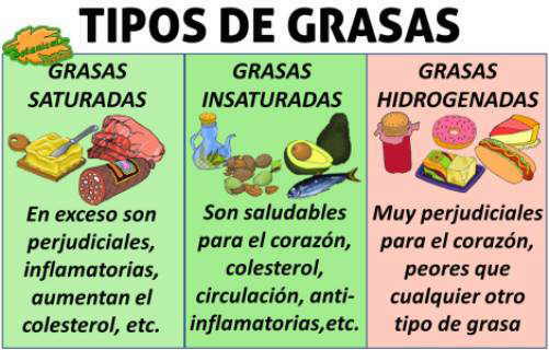 Cuáles son los tipos, beneficios y usos esenciales de las grasas