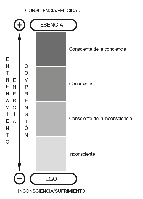 Cuáles son los tipos de conciencia y sus clases específicas