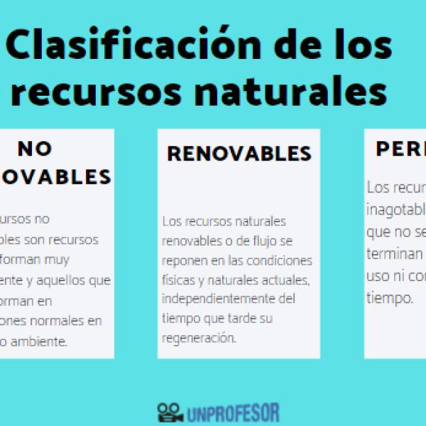 Cuáles son los tipos de recursos naturales y su importancia