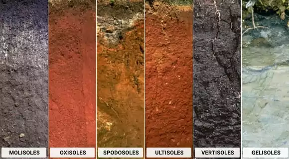 Cuáles son los tipos de suelos y cuál es el mejor para ti