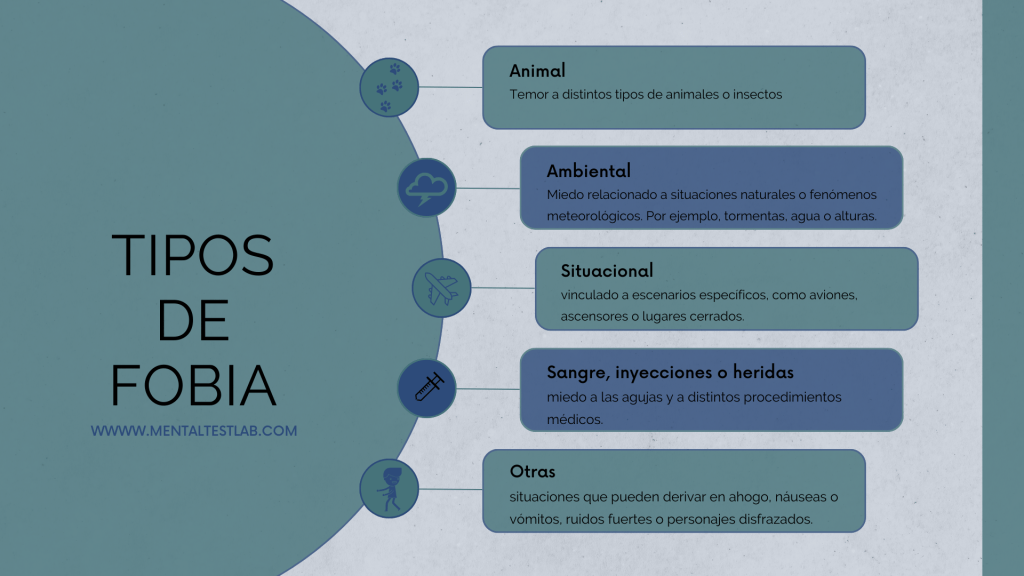 Cuáles son los tipos, síntomas y tratamientos de las fobias
