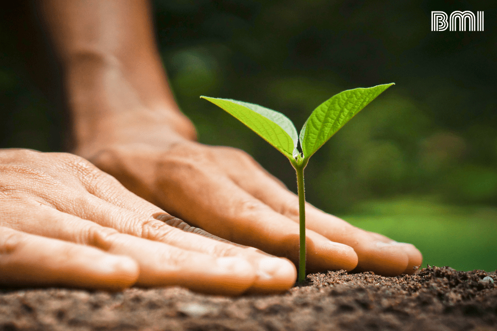 CUALIDADES DE LA NATURALEZA: Importancia en la VIDA