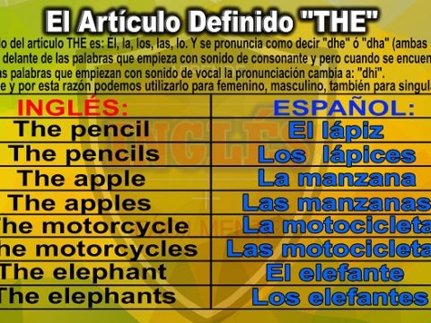Cuándo NO se debe usar el artículo THE en inglés
