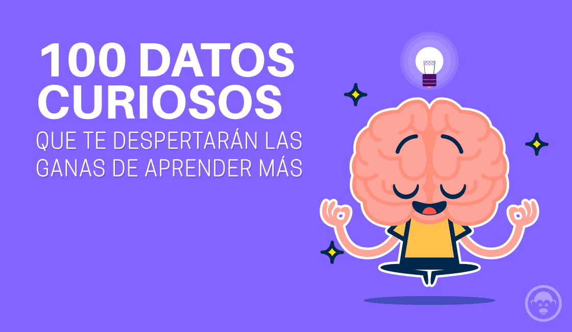 Cuánto mide realmente Descubre datos sorprendentes aquí