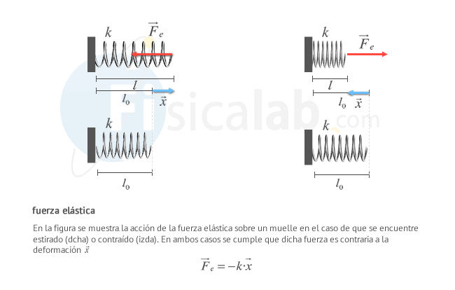 Cuerpo ELÁSTICO: Descubre la FÓRMULA de la ELASTICIDAD
